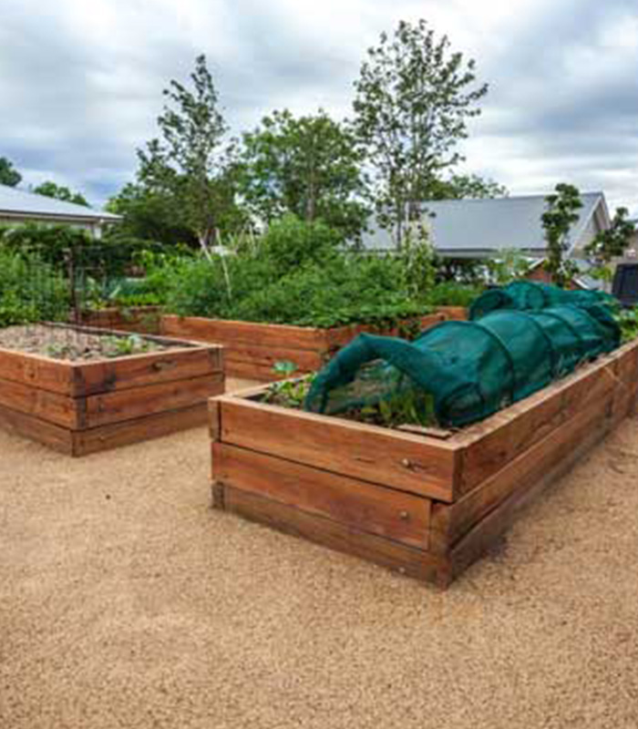 Garden boxes